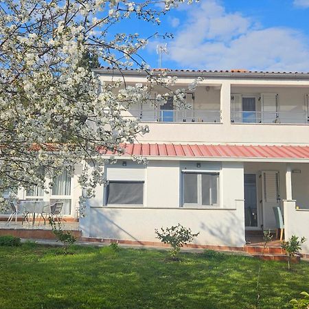 Apartments Betty Borik Rovinj Ngoại thất bức ảnh